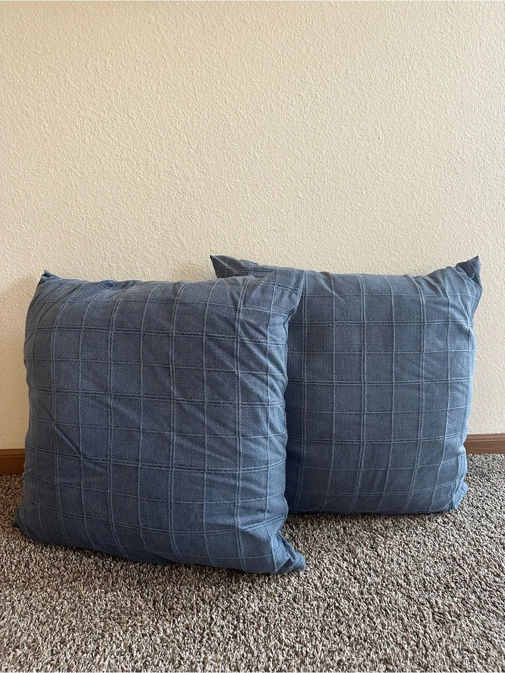 Threshold/Hearth and Hand Pillow Lot